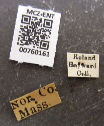 Media type: image;   Entomology 760161 Aspect: labels